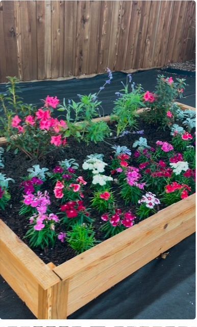 A wooden raised planter overflowing with annual color