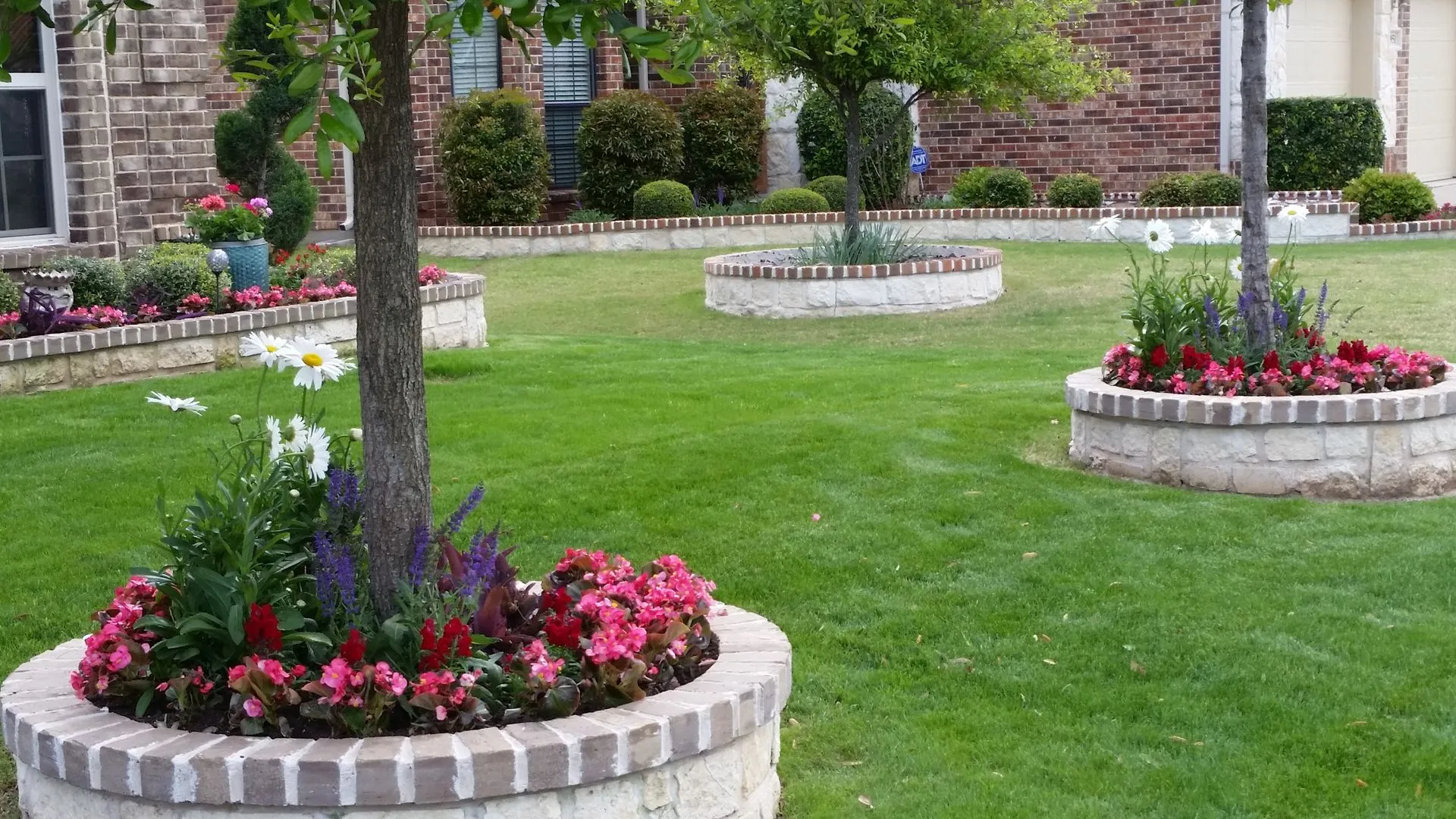 Stone tree rings filled with seasonal flowers across a green lawn