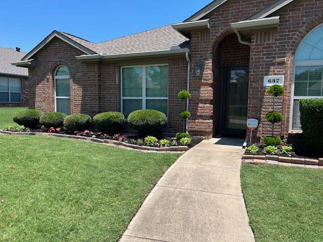 Rounded shrubs and spiral topiaries in edged beds beside a front walkway