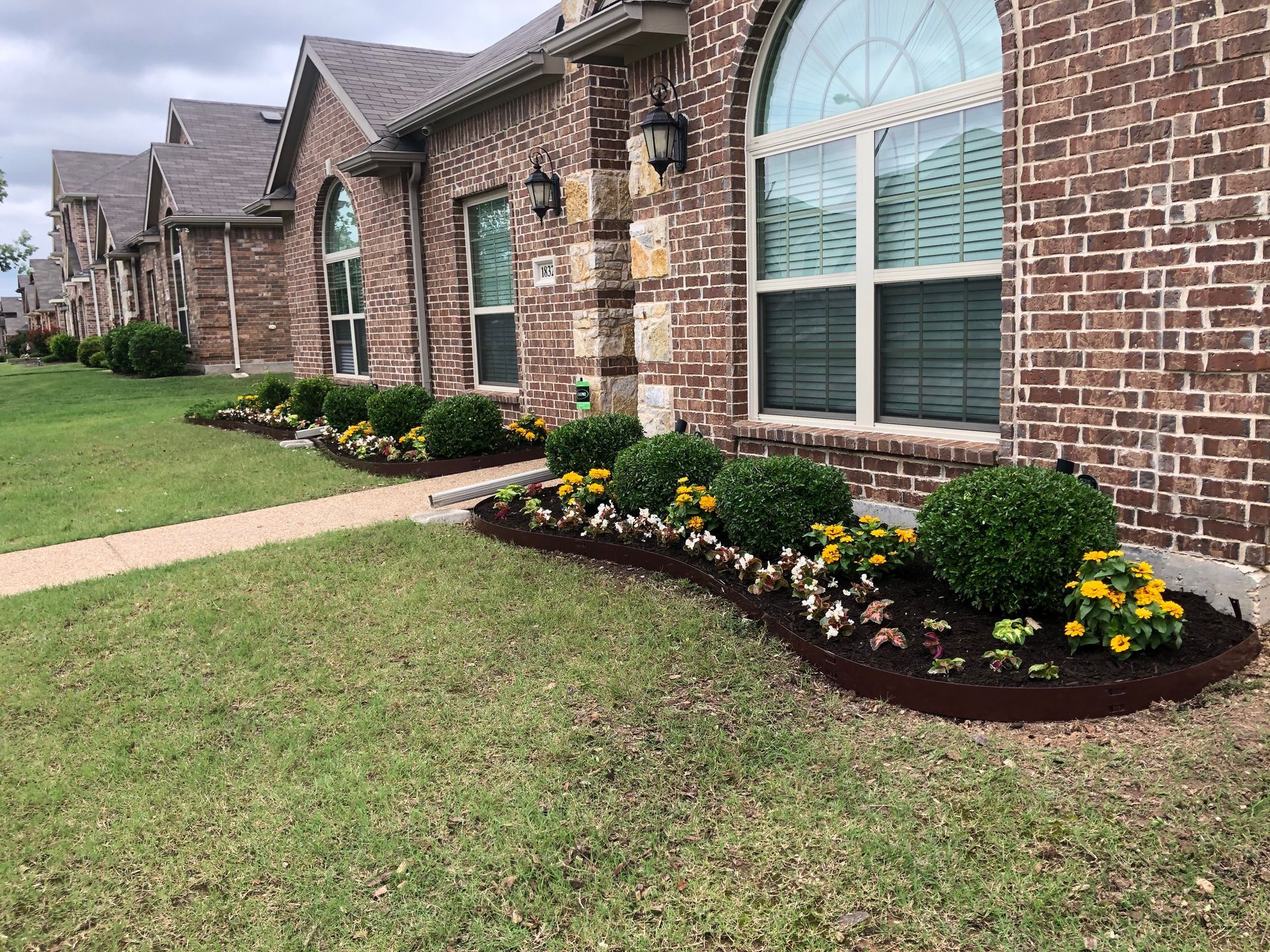 Curved front-yard flower bed with steel edging, boxwood shrubs and seasonal color