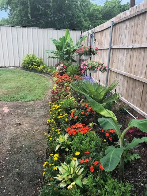 Fence-line bed packed with orange and yellow flowers, hostas, palms and hanging baskets