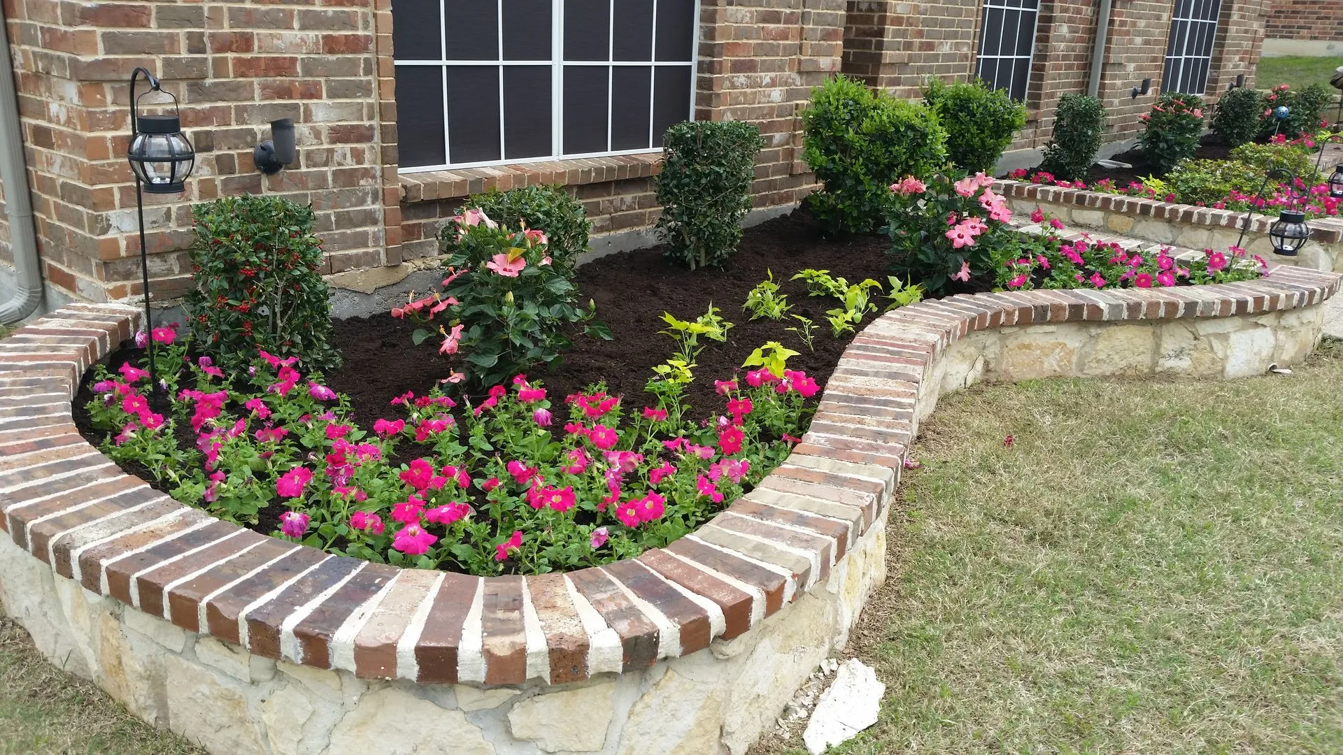 Curved brick and stone raised bed filled with pink petunias and shrubs