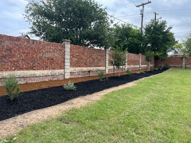 New black-mulch bed with young trees and shrubs along a brick wall