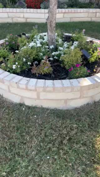 Cream stone tree ring filled with white vinca, shrubs and pink blooms