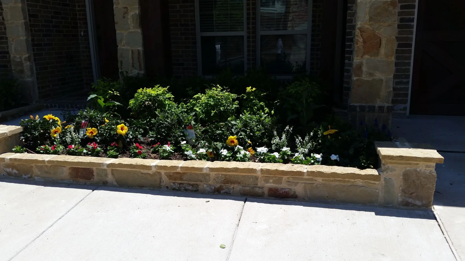 Stone ledge planter with hibiscus, vinca and shrubs at a front entry
