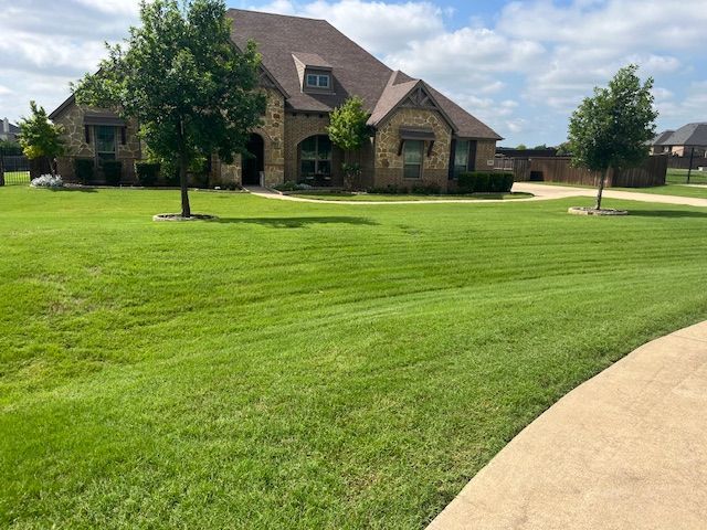 Wide striped lawn with tree rings in front of a large stone home