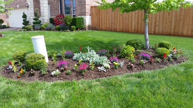 A curved island bed layered with shrubs, ornamental grasses and colorful flowers
