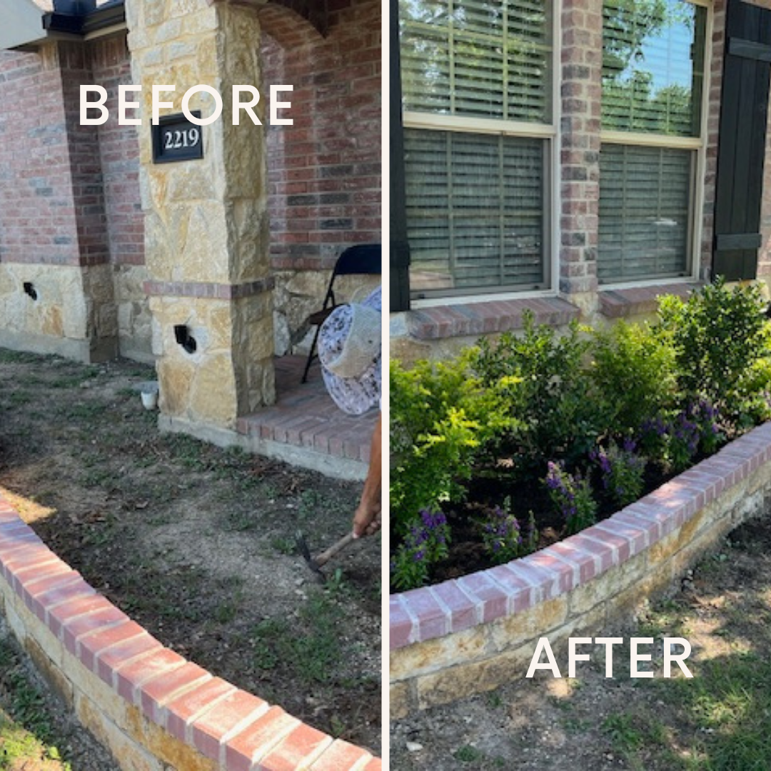 Before and after of a bare brick-edged front bed replanted with shrubs and salvia