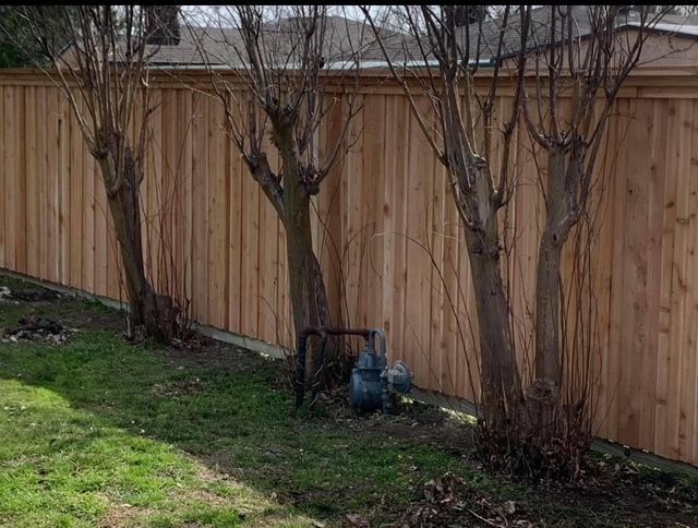New capped cedar privacy fence along a backyard lawn with crape myrtles