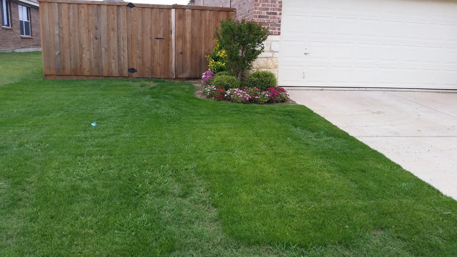 Green side lawn beside a cedar fence with a small flowering shrub bed