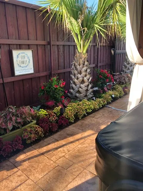 A palm and flower bed lining a stamped concrete patio