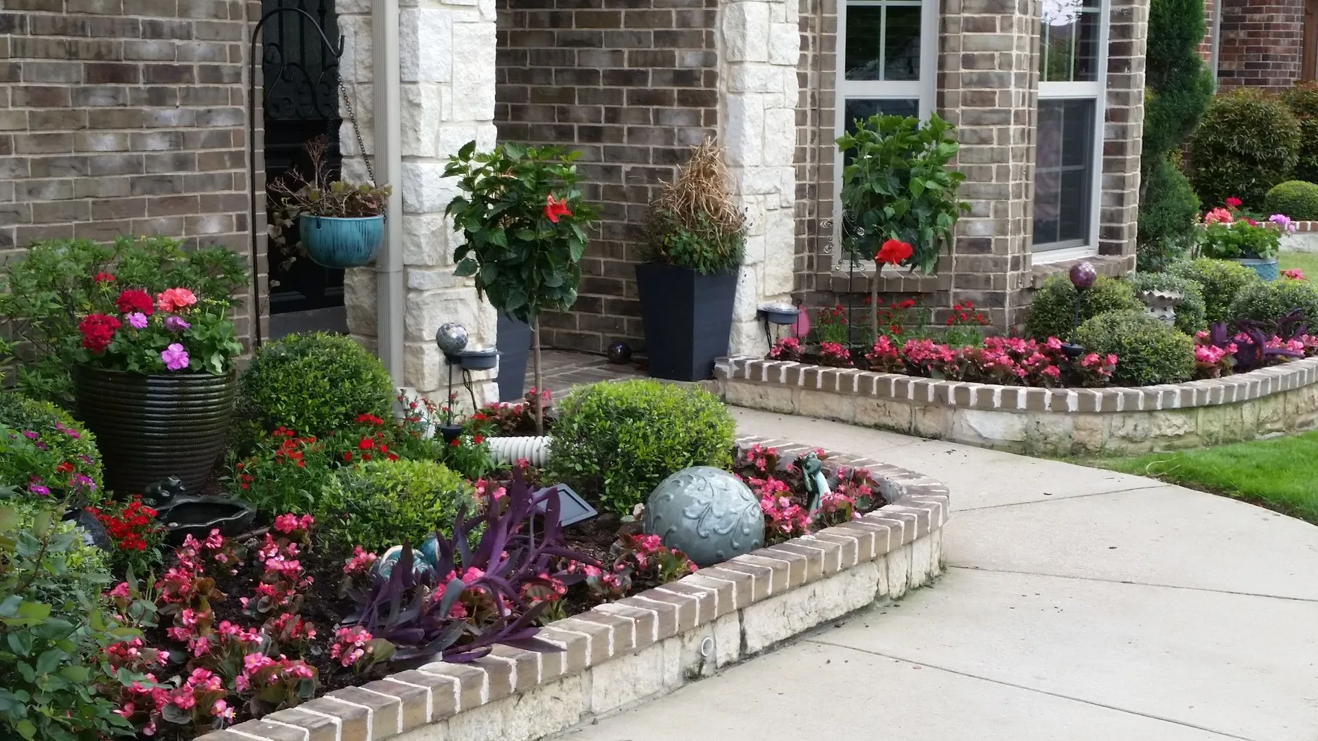 Brick-edged entry beds with boxwoods, begonias and potted plants along a walkway